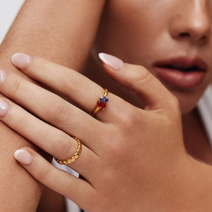 Ring met twee geboortestenen