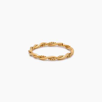 Delicaat dubbele twistring