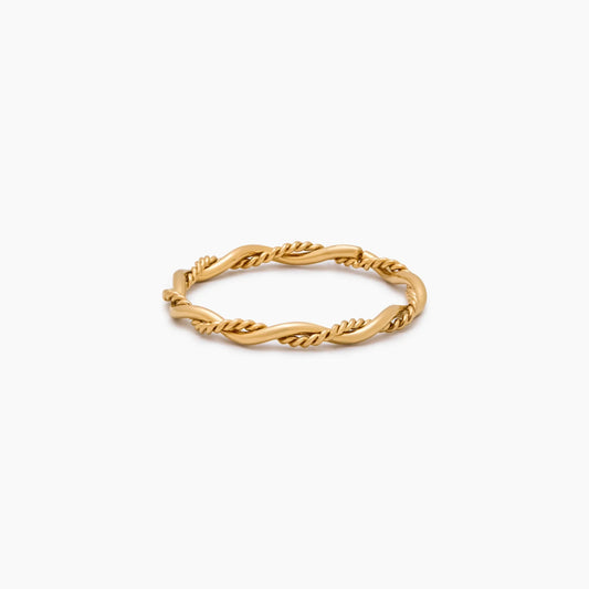 Delicaat dubbele twistring